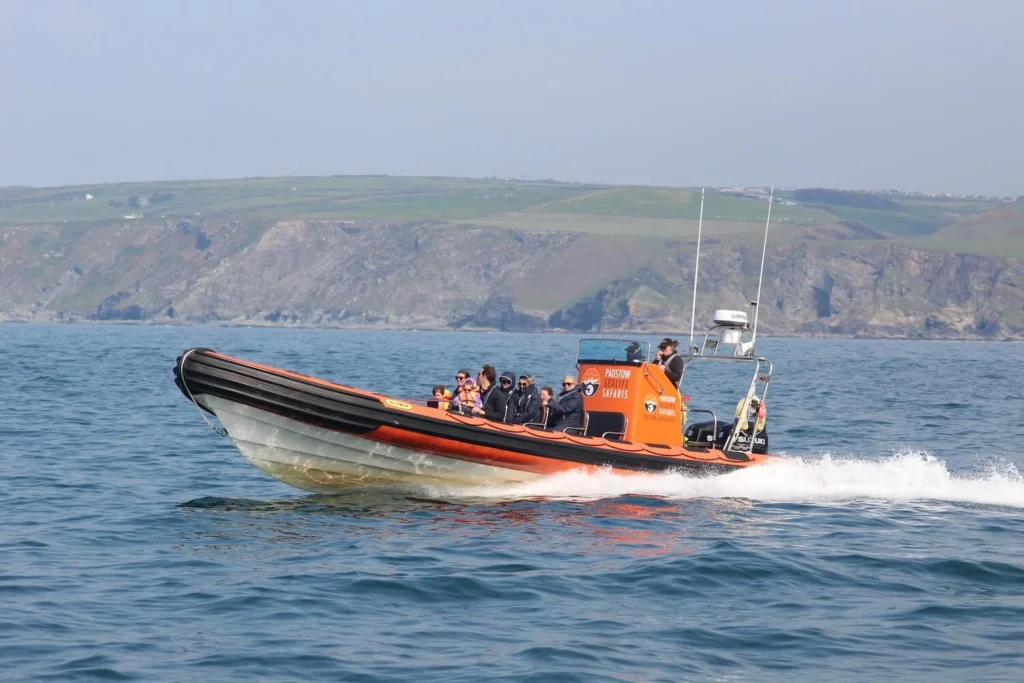 padstow sealife safaris boat