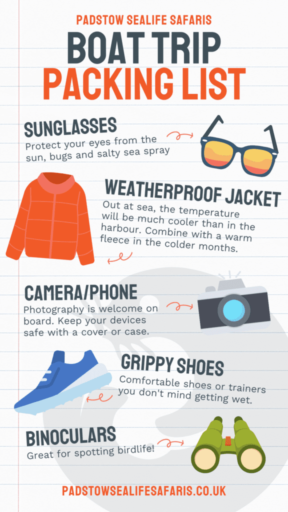 Padstow Sealife Safaris Packing list - sunglasses, weatherproof jacket, camera/phone, grippy shoes, binoculars