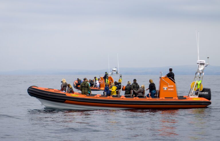 Two Padstow sealife ribs out on a flat sea