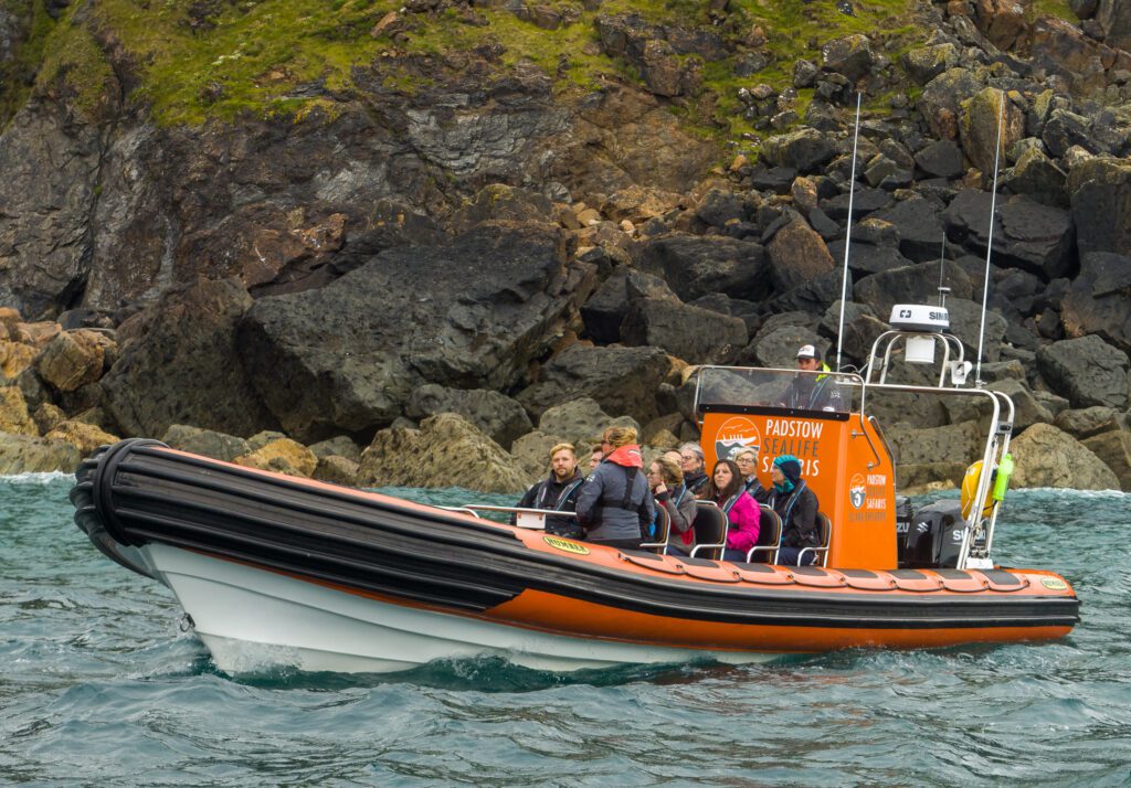 Guests on a Padstow Sealife Safari by the rocks.