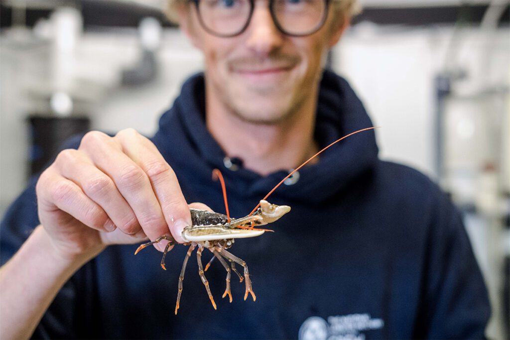 The lobster hatchery in padstow