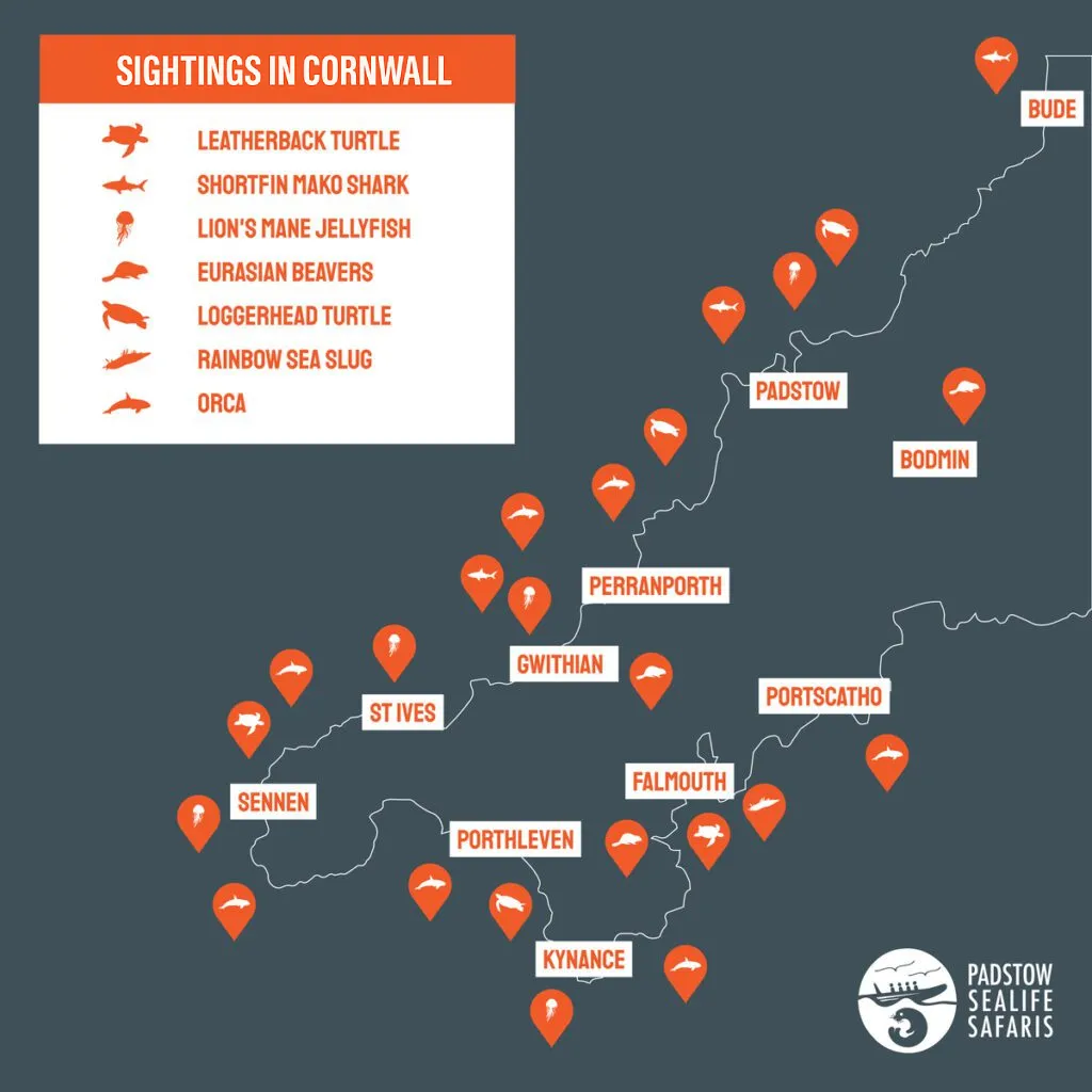 Padstow map