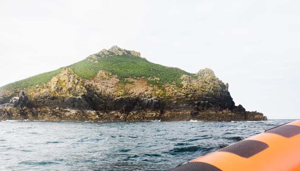 Puffin Island taken from a boat 