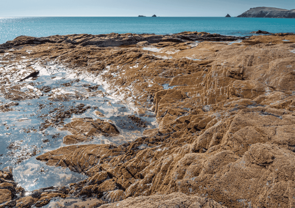 rockpool Cornwall
