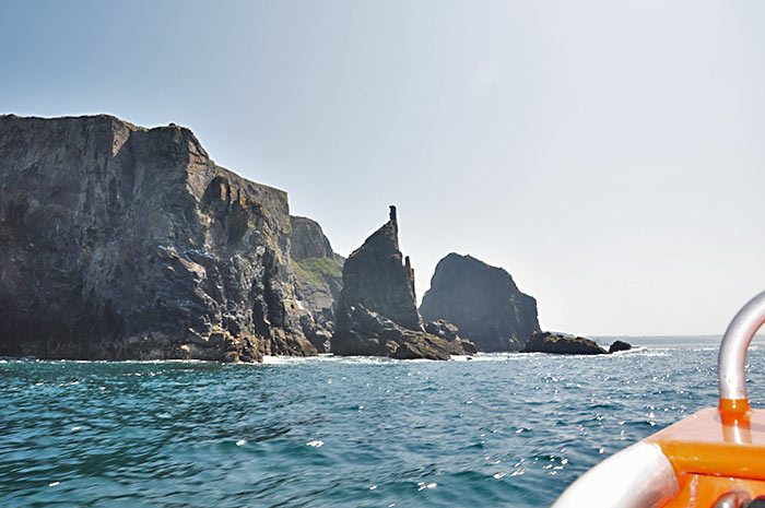 Cornwall boat trip