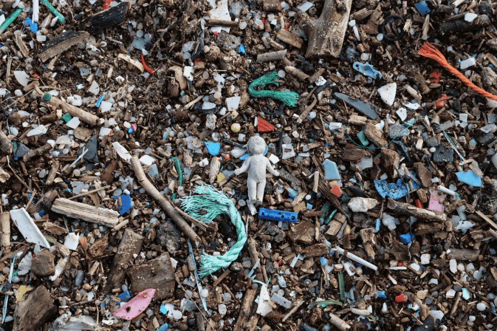 beach litter and microplastics