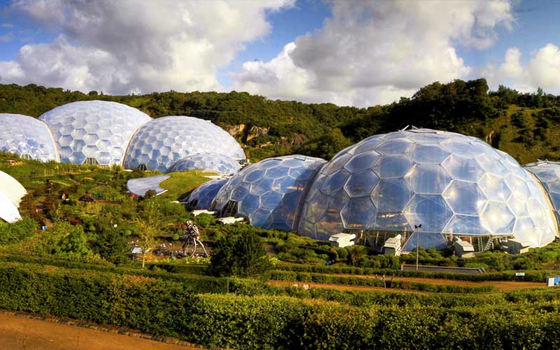 eden project things to do in cornwall padstow sealife safari