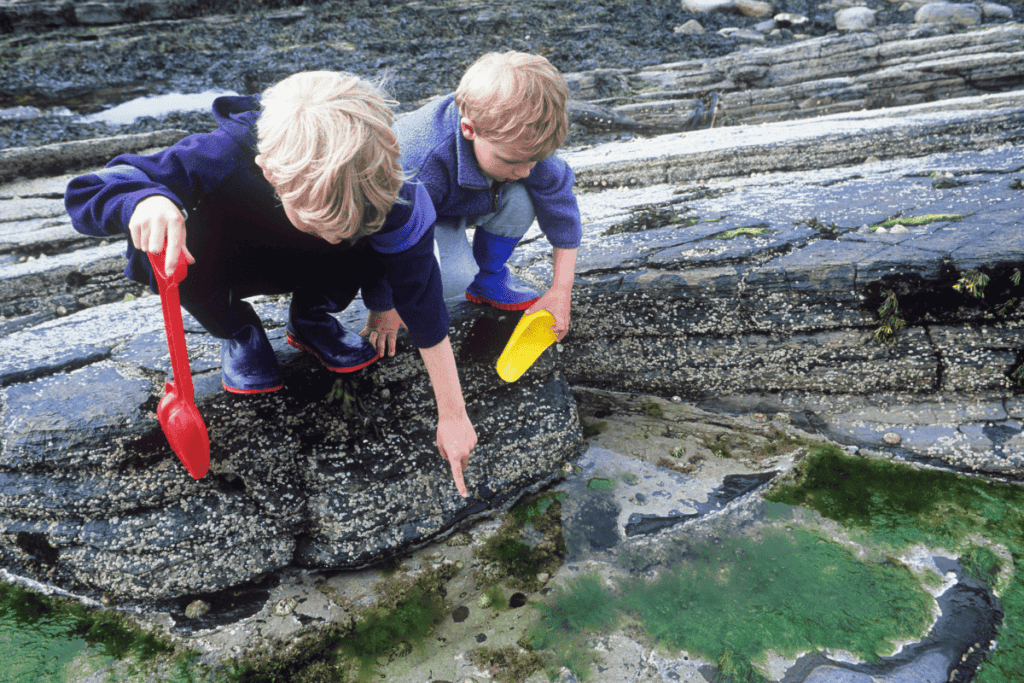 kids rockpooling in cornwall