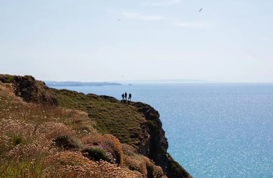 The 9 Best Coastal Walks in Cornwall | Sealife Safaris