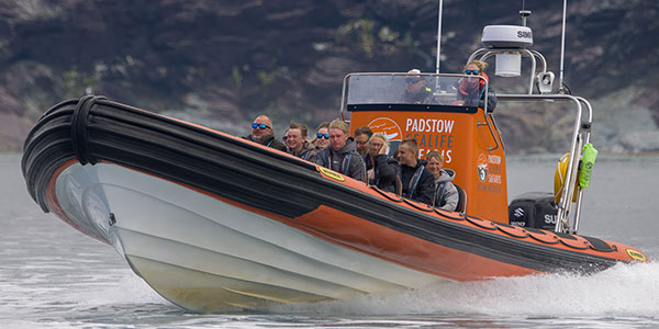 padstow wildlife boat trip