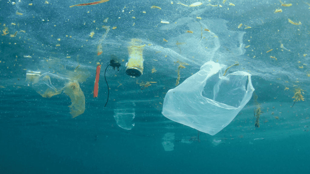 plastic pollution in the sea