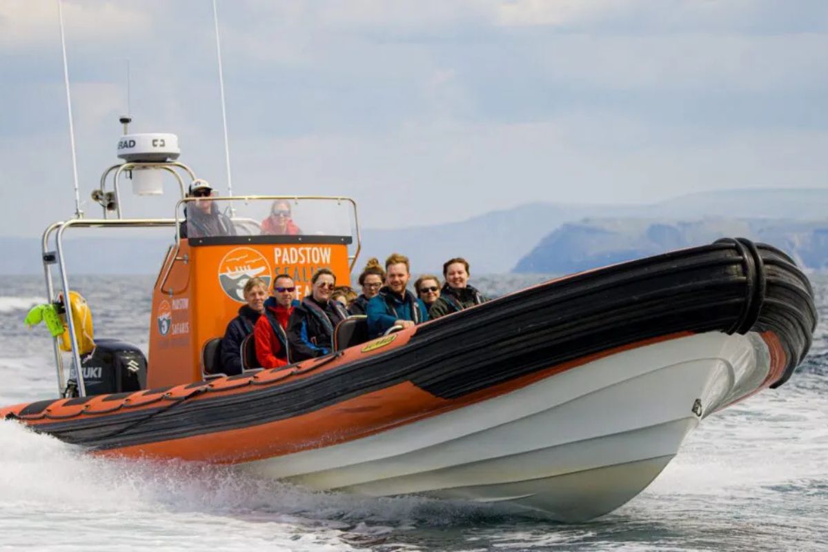 rib boat wilflife encounter days