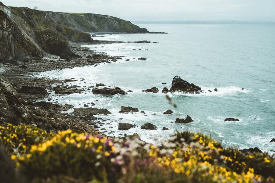 Bude coastline