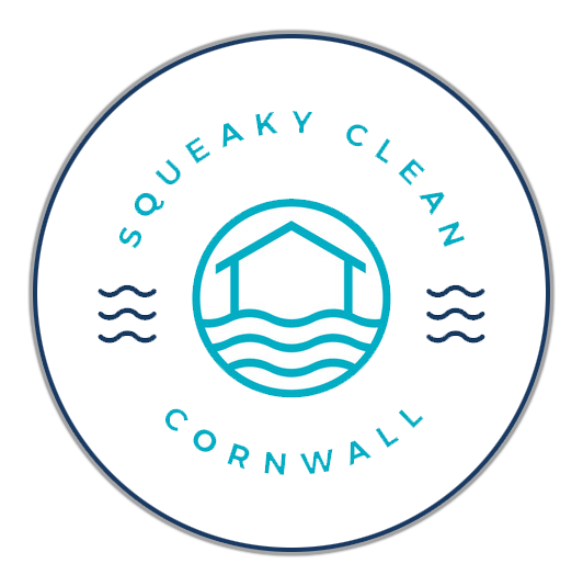squeaky clean logo