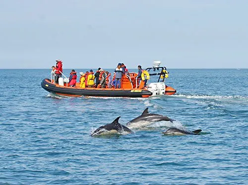 boat trip padstow- things to do in cornwall at christmas