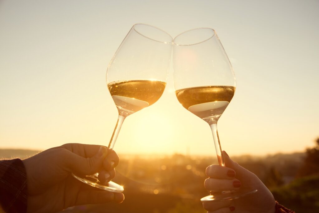 wine tasting in cornwall